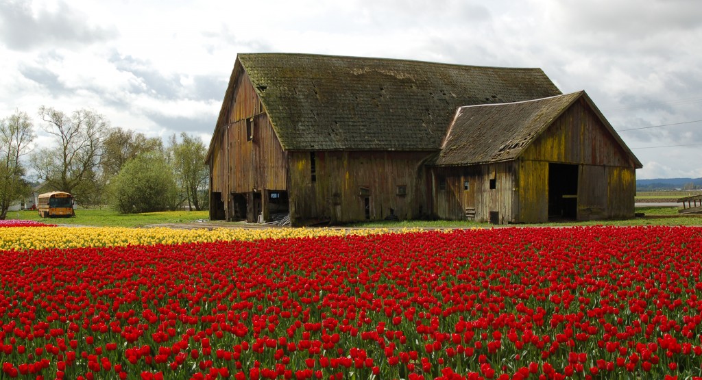 20150401_Roozengaarde_001