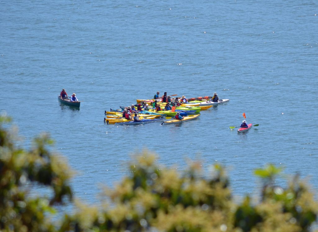 20160513_ana_protest_kayakers